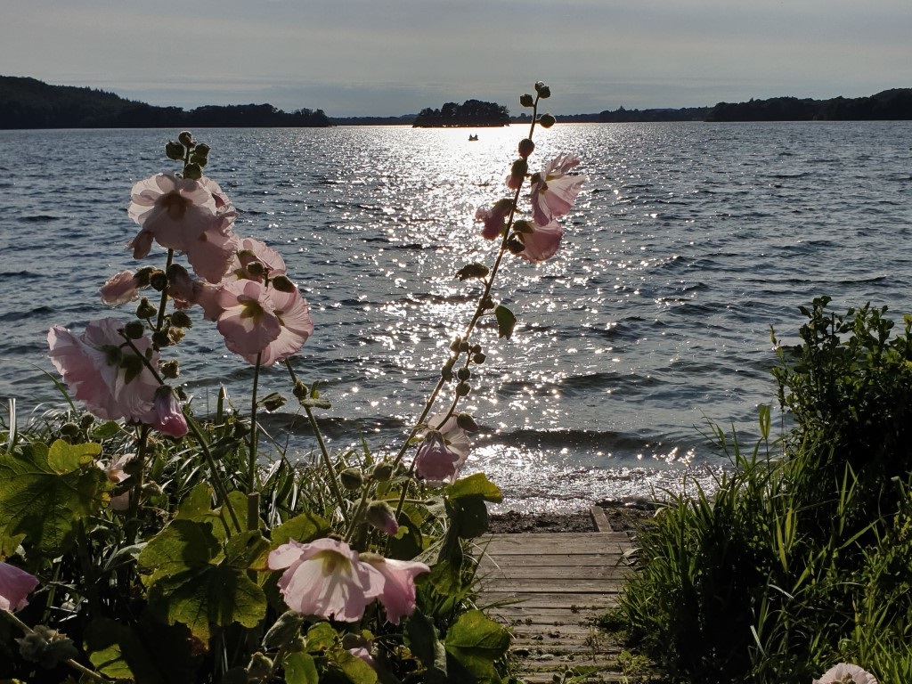 Dieksee