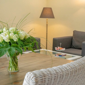 comfortsuite-4